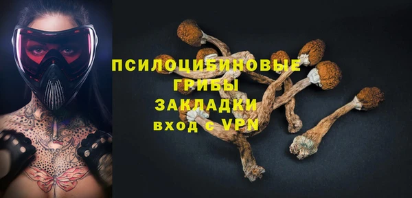 стаф Корсаков