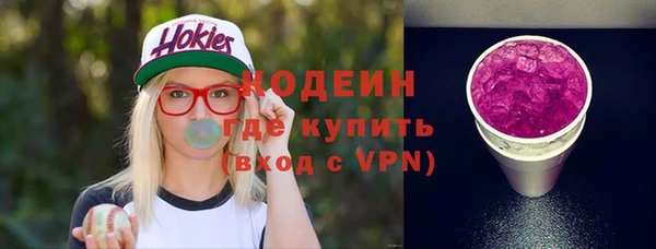 стаф Корсаков