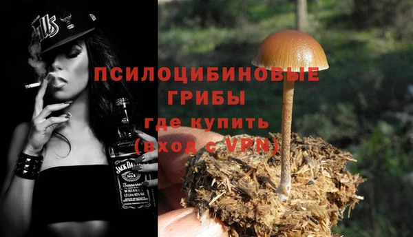 первитин Коряжма