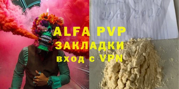 индика Козловка