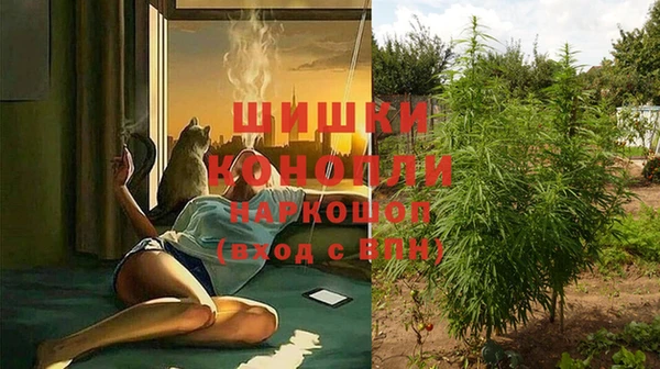 стаф Корсаков