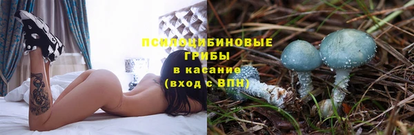 гидропоника Кодинск
