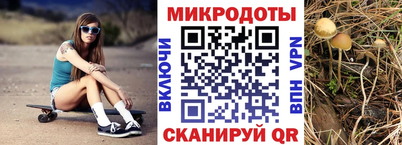 Псилоцибиновые грибы прущие грибы  Купить где  Берёзовский 